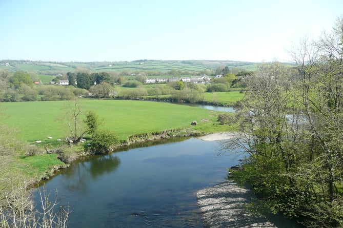 Afon Teifi