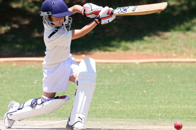 cricket pic