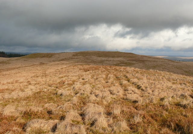 Bryn Brawd