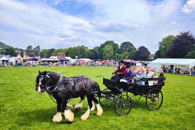 Steam Rally