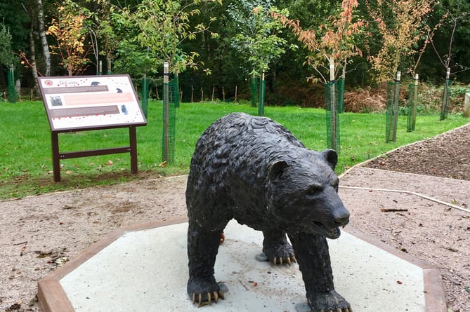 Monty the Erie Wood bear