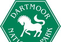 Dartmor National Park plans to be net zero  by 2025