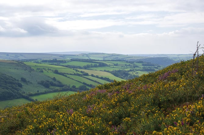 Exmoor views
