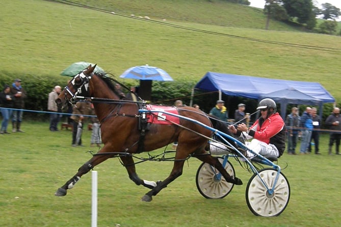 Novice winner Immortal Storm Wales Borders Harness racing.jpg