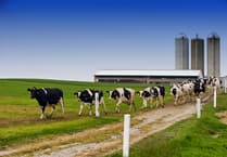 Family farm expands into milk