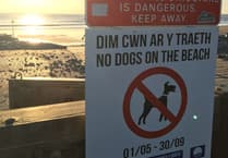 Council confirm dogs still allowed on Borth beach in winter