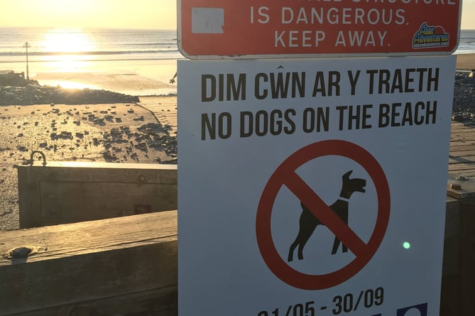 Dogs are allowed on borth beach in summer