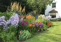 Two gardens open to raise money for Cardiac Rehab in Alton