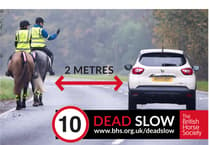 Charity reveals Powys had the most road incidents involving horses in Wales last year