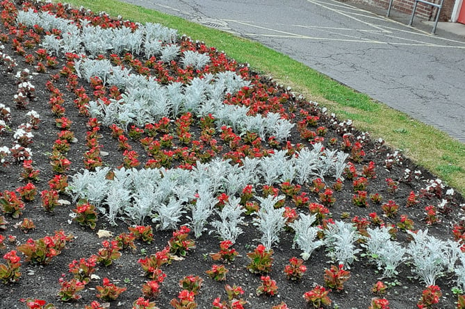Liphook in Bloom 25th anniversary flower bed, 2022.