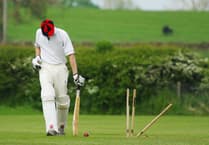 Hitting a wicket in cricket?