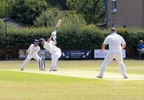 Rowledge Cricket Club's unbeaten run ends with Basingstoke defeat