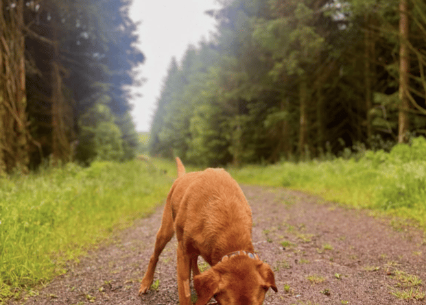 Another great photo sent in by Jacqueline Davis, this time with a four-legged friend!