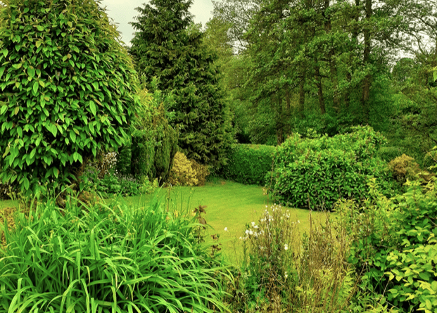 Green Garden