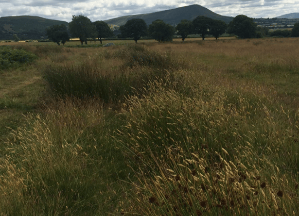 Black Mountains