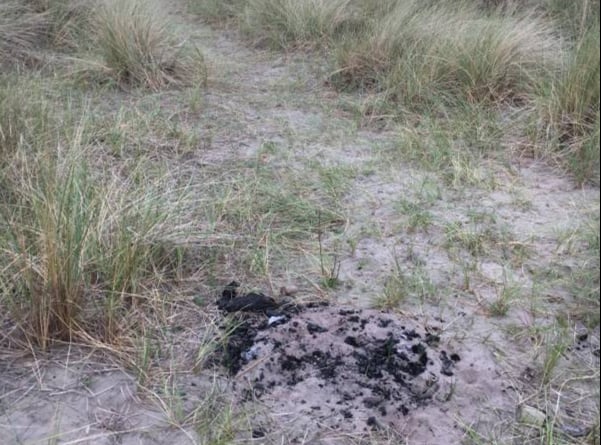 Barbecue charring on sand dunes