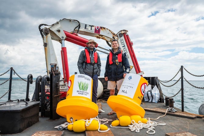 Seagrass protection mission