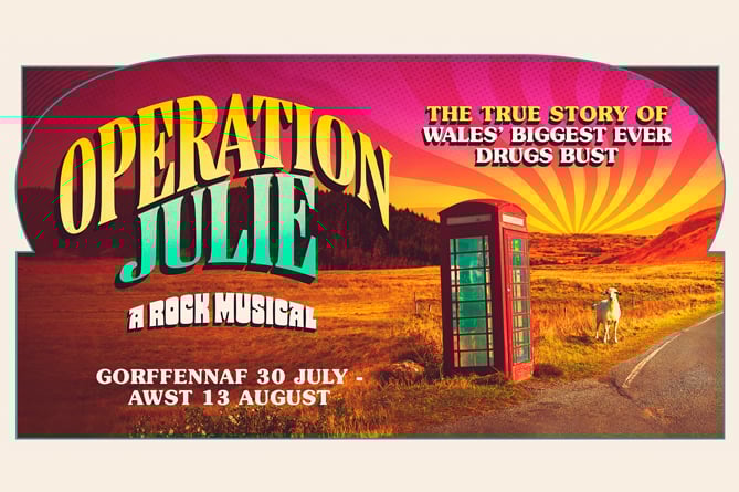 Operation Julie