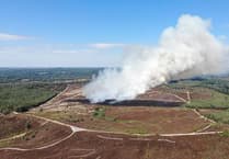 Firefighters tackling Hankley Common fire overwhelmed with kind donations