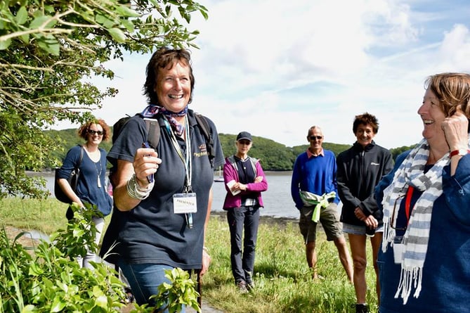 Foraging with Julia Horton-Mansfield