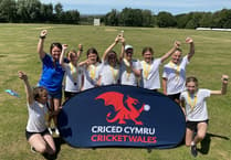 Success for Tenby and Stepaside schools at cricket 