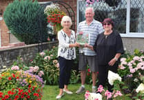 Westfield welcomes colourful splash as residents compete for best front garden