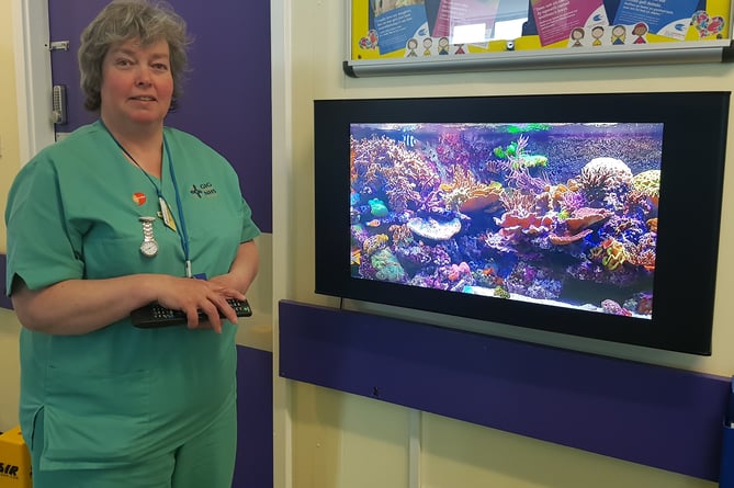 Nurse Eleri Davies is seen with the new aquarium