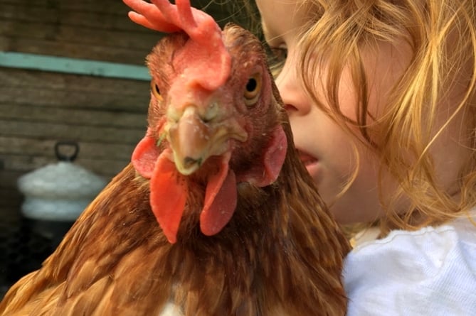 Dawn Rowland - Besty hen with Emily human