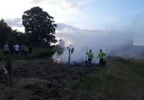 Blaze that ravaged forest garden could be arson, say police