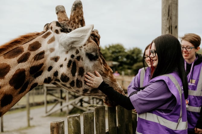 Folly Farm