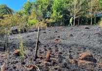 Firefighters' warning over parched lands