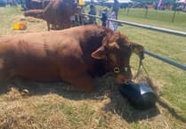 Are you at the Camelford Show? Send us your pictures and stories from the day!