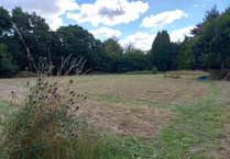 Tavistock community comes together to manage green burial meadow