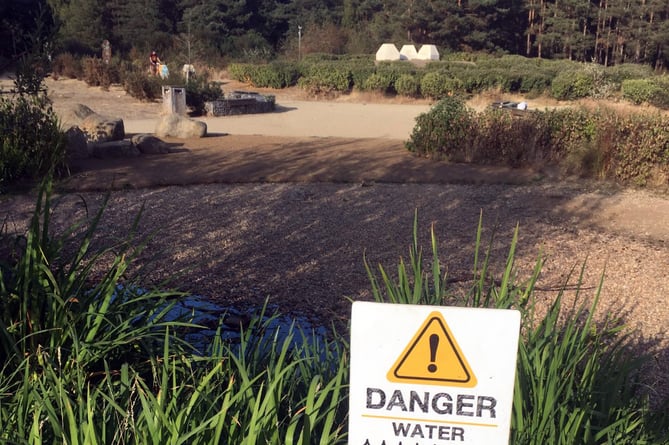 A dried up pond at Hogmoor Inclosure in Bordon, August 2022.