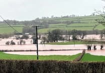 How much did Welsh Government know about Gilestone Farm
