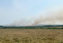 Major grassfire spreads on the outskirts of St Davids