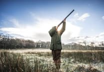 Game and Wildlife Conservation Trust Cymru reveal findings from report