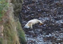 Help to give seals and other marine species all round better protection