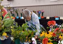 Fernhurst Horticultural Society autumn show success