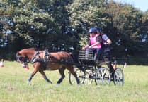 Manx Harness Club host carriage driving challenge